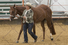 PCSChorseshow81614_IMG_2718