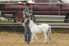 PCSChorseshow81614_IMG_2719