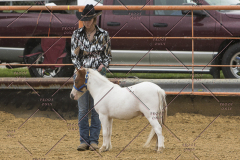 PCSChorseshow81614_IMG_2722
