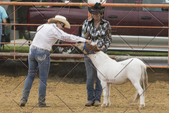 PCSChorseshow81614_IMG_2735