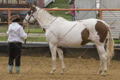 PCSChorseshow81614_IMG_2737