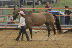 PCSChorseshow81614_IMG_2751