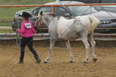 PCSChorseshow81614_IMG_2769
