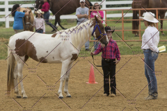 PCSChorseshow81614_IMG_2774