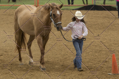 PCSChorseshow81614_IMG_2794