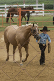 PCSChorseshow81614_IMG_2809