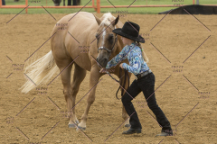 PCSChorseshow81614_IMG_2810