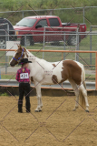 PCSChorseshow81614_IMG_2816