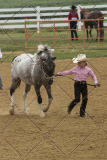PCSChorseshow81614_IMG_2824