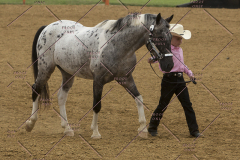 PCSChorseshow81614_IMG_2829