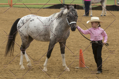 PCSChorseshow81614_IMG_2831