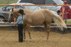 PCSChorseshow81614_IMG_2835