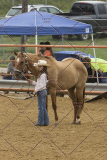 PCSChorseshow81614_IMG_2845