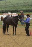 PCSChorseshow81614_IMG_2857