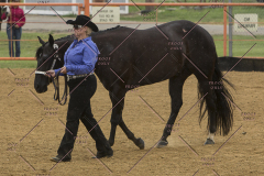 PCSChorseshow81614_IMG_2864