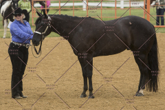 PCSChorseshow81614_IMG_2868