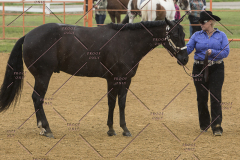PCSChorseshow81614_IMG_2871