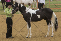 PCSChorseshow81614_IMG_2885