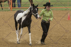PCSChorseshow81614_IMG_2889