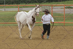 PCSChorseshow81614_IMG_2894
