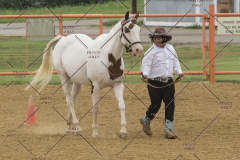 PCSChorseshow81614_IMG_2896