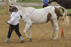 PCSChorseshow81614_IMG_2900