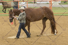 PCSChorseshow81614_IMG_2925