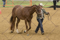 PCSChorseshow81614_IMG_2937