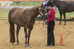 PCSChorseshow81614_IMG_2942