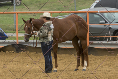 PCSChorseshow81614_IMG_3032