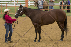 PCSChorseshow81614_IMG_3033