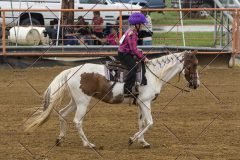 PCSChorseshow81614_IMG_3739