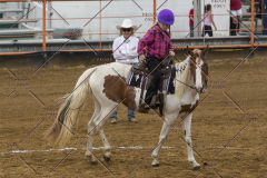 PCSChorseshow81614_IMG_3744