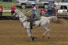 PCSChorseshow81614_IMG_3759