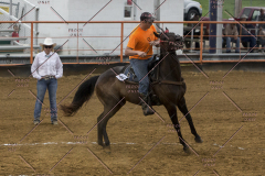 PCSChorseshow81614_IMG_3779