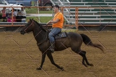 PCSChorseshow81614_IMG_3782