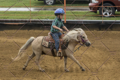 PCSChorseshow81614_IMG_3784