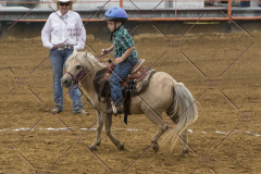 PCSChorseshow81614_IMG_3791