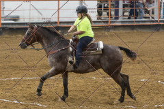 PCSChorseshow81614_IMG_3851