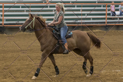 PCSChorseshow81614_IMG_3869