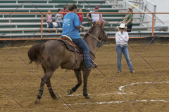 PCSChorseshow81614_IMG_3875