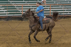 PCSChorseshow81614_IMG_3880