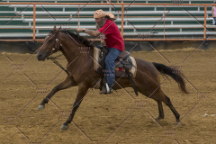 PCSChorseshow81614_IMG_3892