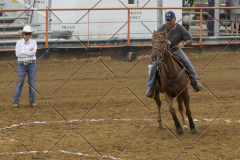 PCSChorseshow81614_IMG_3897