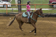 PCSChorseshow81614_IMG_3921