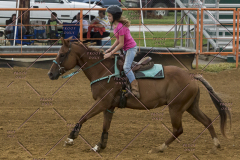 PCSChorseshow81614_IMG_3928