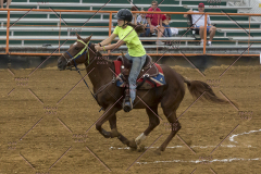 PCSChorseshow81614_IMG_3934