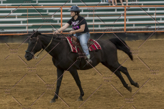 PCSChorseshow81614_IMG_3944