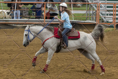 PCSChorseshow81614_IMG_4002