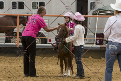 PCSChorseshow81614_IMG_3113
